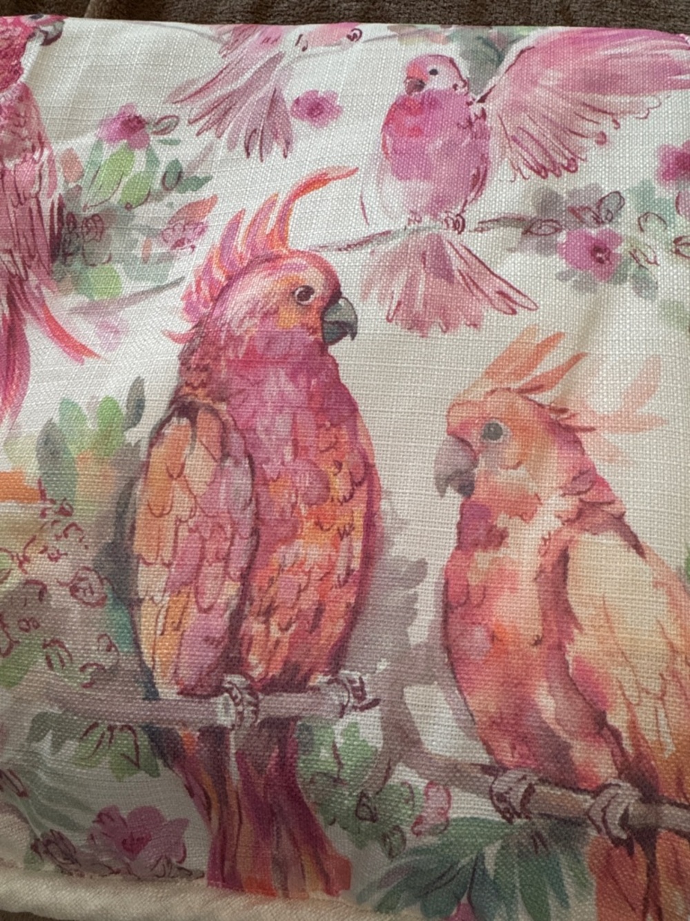 Cream Maxi Skirt with Pink Parrot Border - Picture 7 of 9